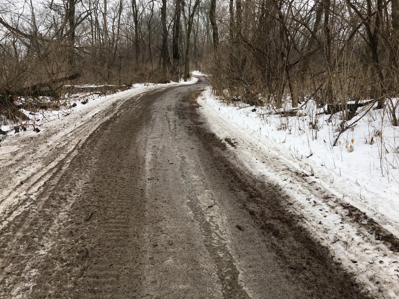 A muddy snowy trail through bare woods