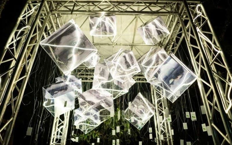 A D'Moscarella Events installation of suspended glass cubes