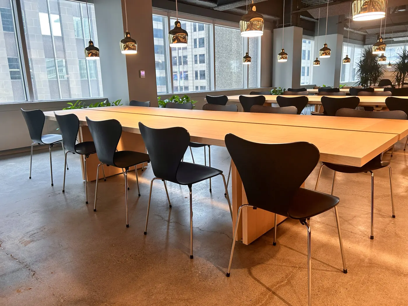 Morningstar project, long communal tables under pendant lights